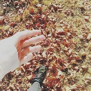 Meet your Posher, Monica